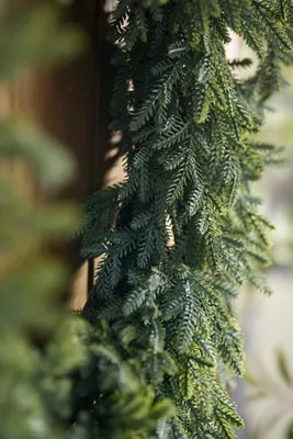 Faux Blue Spruce Wreath - Plastic by Anthropologie, alternate view