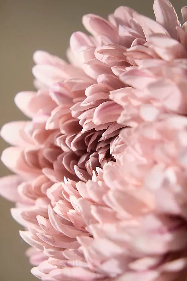 Faux Chrysanthemum Spray - Pink, Polyester by Anthropologie, alternate view