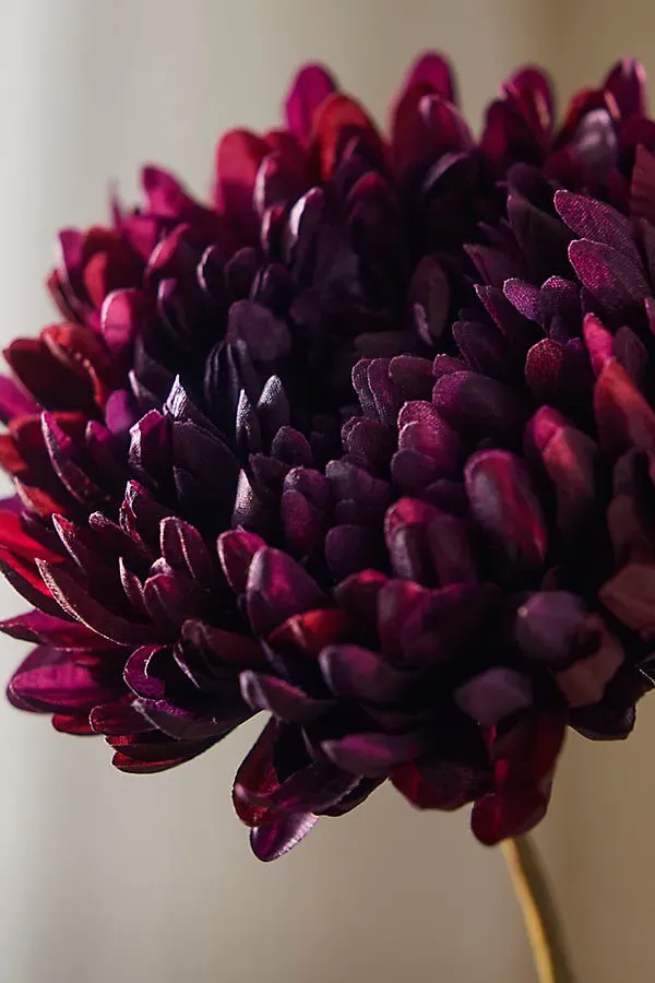 Faux Chrysanthemum Spray - Red, Polyester by Anthropologie, image 2