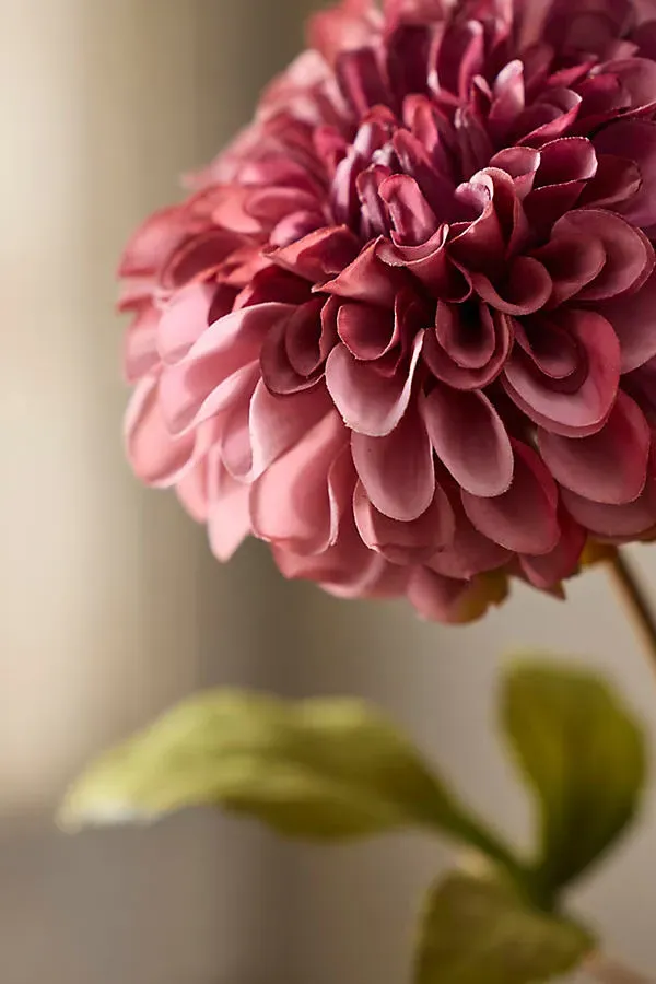 Faux Dahlia Spray - Purple, Polyester by Anthropologie, image 2