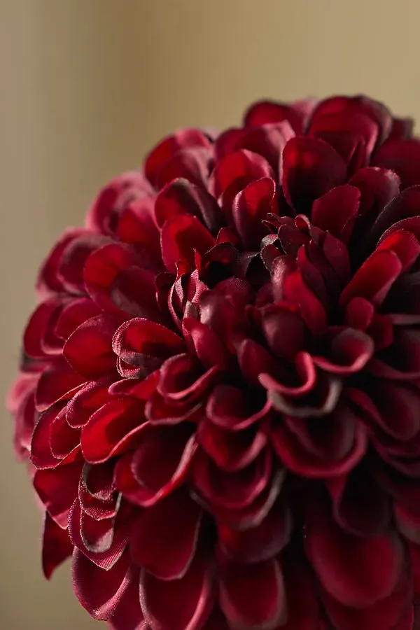 Faux Dahlia Stem - Purple, Polyester by Anthropologie, image 2