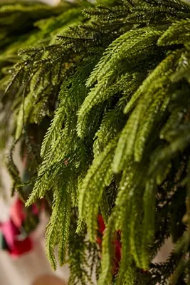 Faux Draped Evergreen Mix Garland 6ft by Anthropologie, alternate view