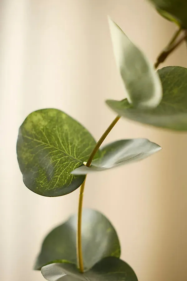 Faux Eucalyptus Spray - Green, Polyester by Anthropologie, alternate view