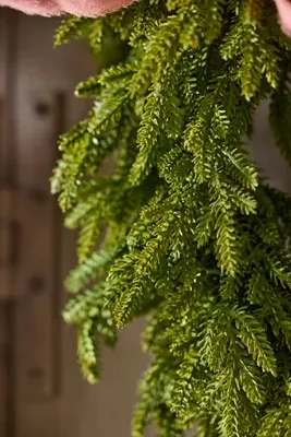 Faux Evergreen Wreath Garland 12ft - Green, Plastic by Anthropologie, alternate view