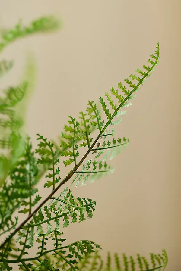 Faux Fern Plant by Anthropologie, alternate view