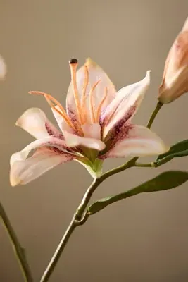 Faux Lily Spray - Beige, Polyester by Anthropologie, alternate view