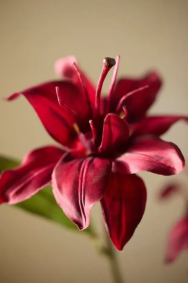 Faux Lily Spray - Purple, Polyester by Anthropologie, image 2