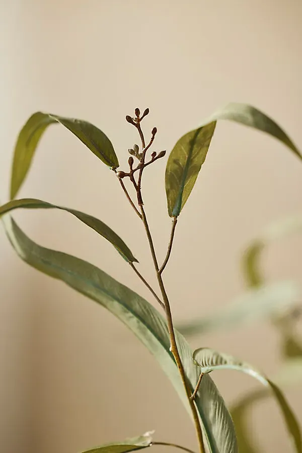 Faux Long-Leaved Eucalyptus Spray - Polyester by Anthropologie, alternate view