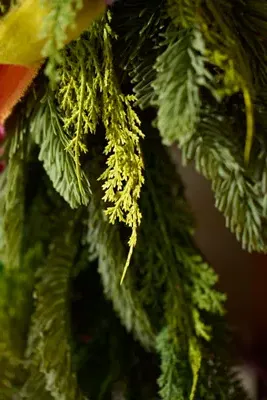Faux Mixed Evergreen Garland 9ft - Green, Plastic by Anthropologie, alternate view