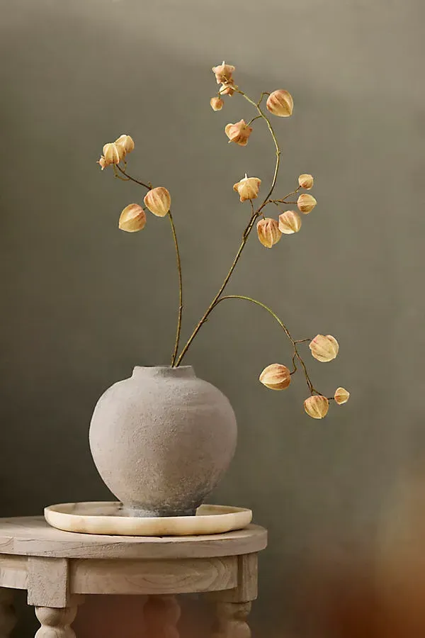 Faux Physalis Pod Spray - Beige, Polyester by Anthropologie