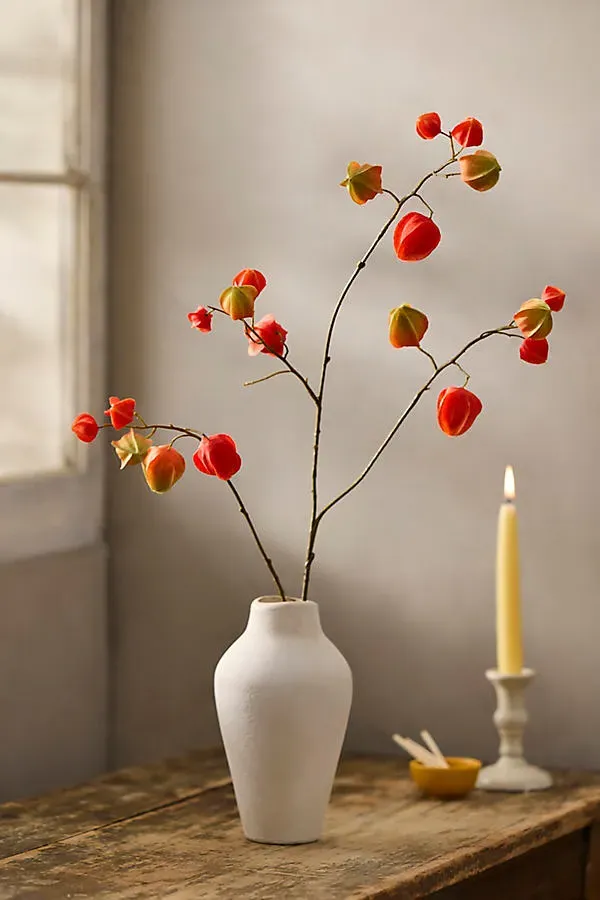 Faux Physalis Pod Spray - Orange, Polyester by Anthropologie