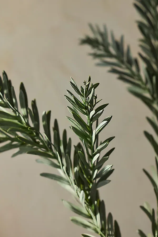 Faux Pine Spray - Dark Green, Plastic by Anthropologie, image 2
