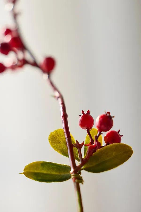 Faux Red Berry Spray by Anthropologie, alternate view
