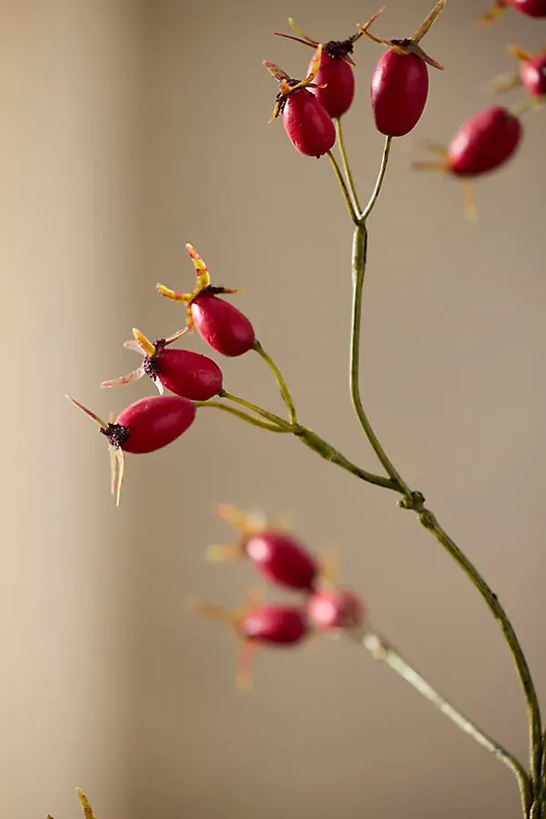 Faux Rosehip Spray by Anthropologie, image 2