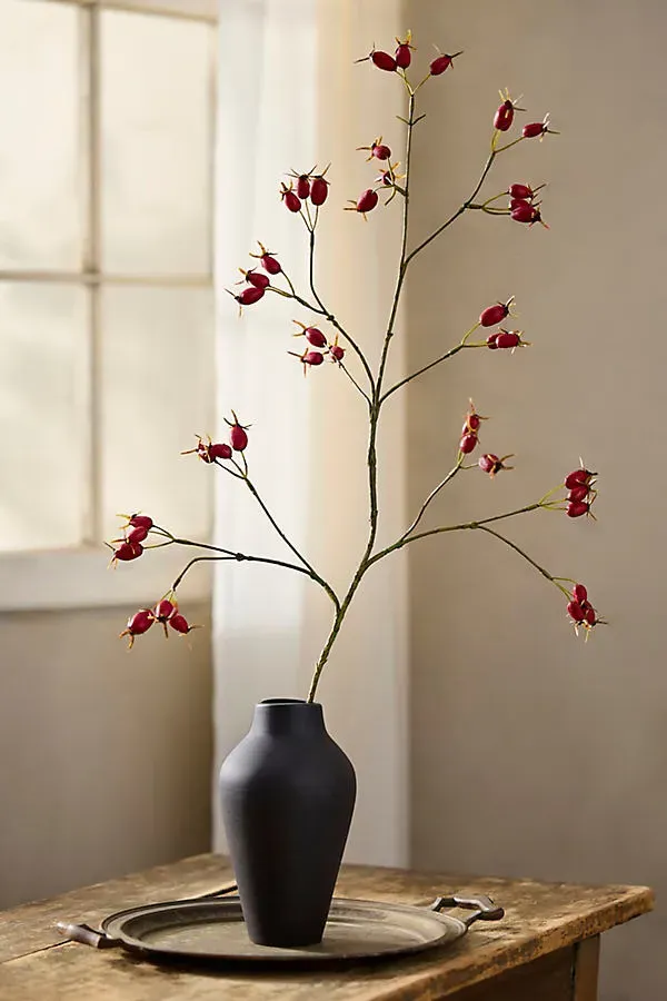 Faux Rosehip Spray by Anthropologie