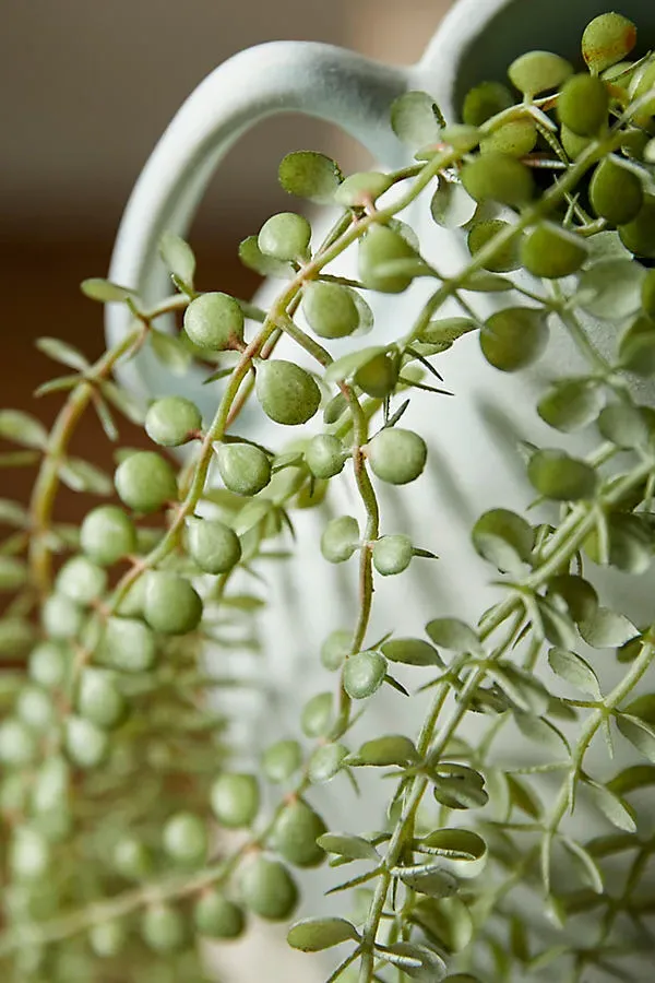 Faux Trailing Fern - Green by Anthropologie, alternate view