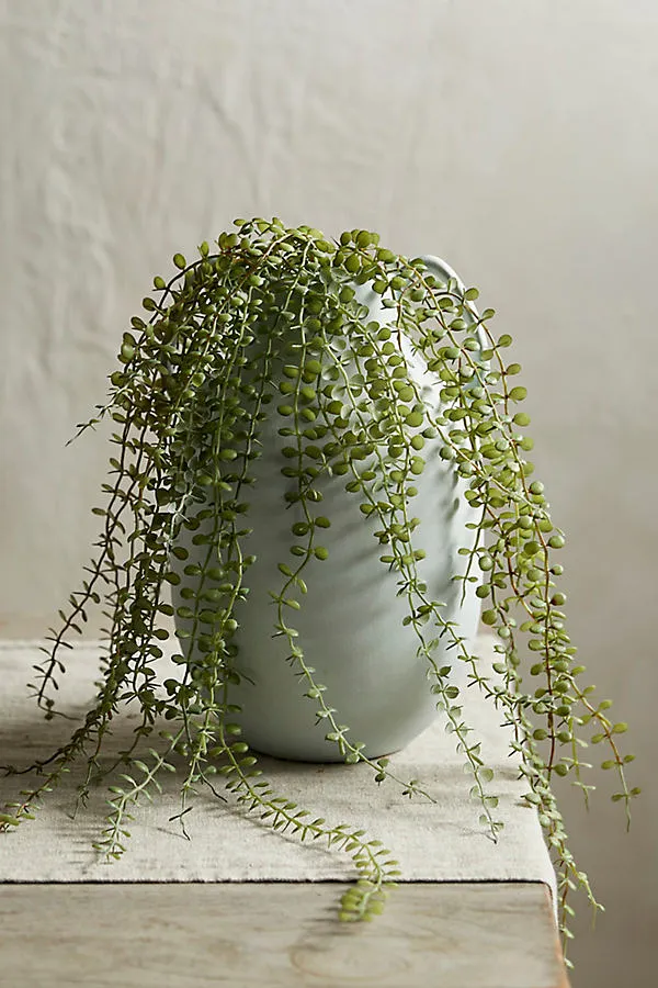 Faux Trailing Fern - Green by Anthropologie