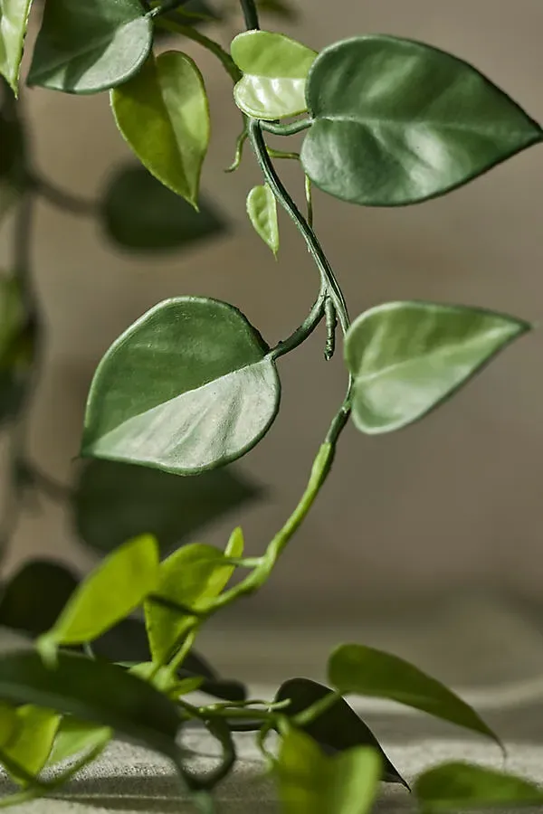 Faux Trailing Leafy Vine Spray by Anthropologie, alternate view
