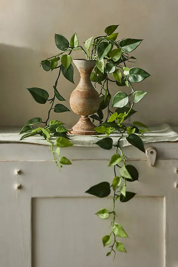Faux Trailing Leafy Vine Spray by Anthropologie