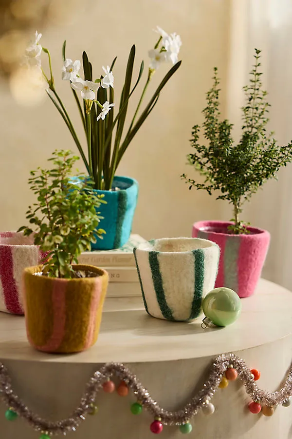 Felt Pot Cover - Blue, Wool by Anthropologie, image 2