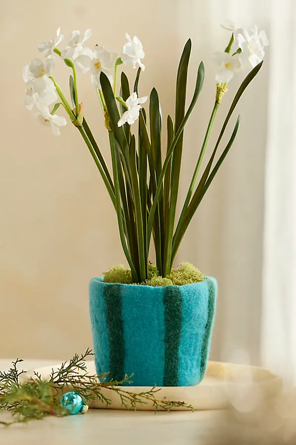 Felt Pot Cover - Blue, Wool by Anthropologie