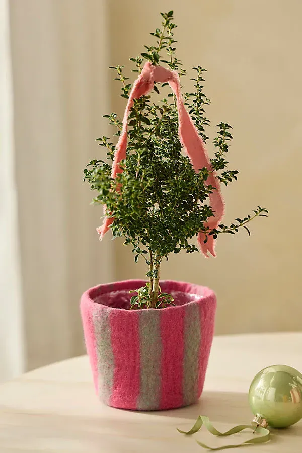Felt Pot Cover - Pink, Wool by Anthropologie