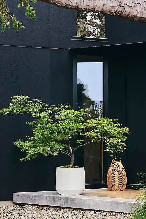 Fiber Angled Drop Planter - Fiber Concrete by Anthropologie