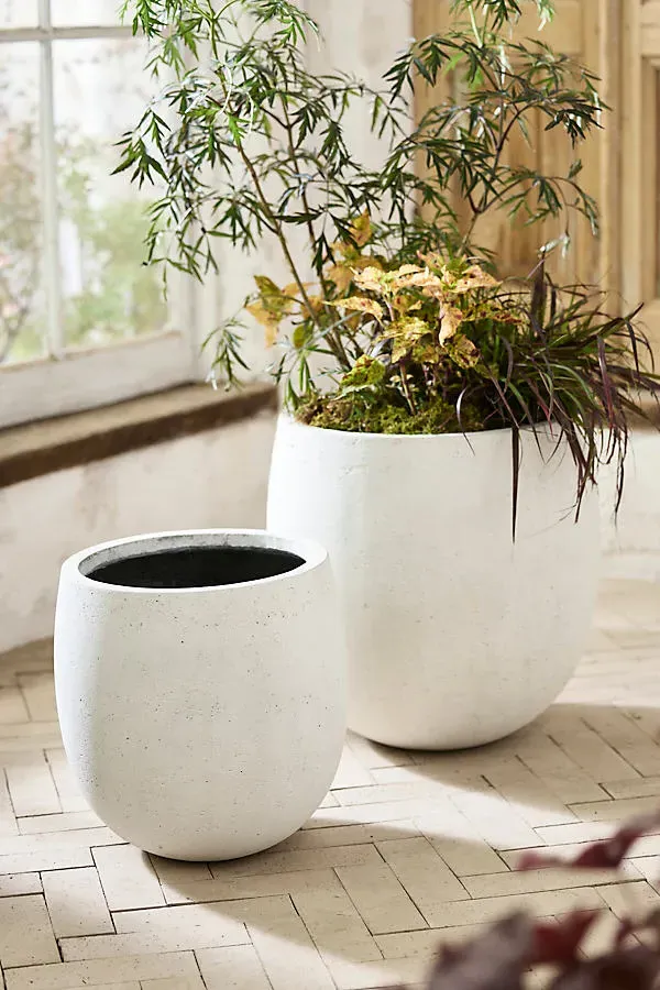 Fiber Concrete Rounded Egg Planter - White by Anthropologie
