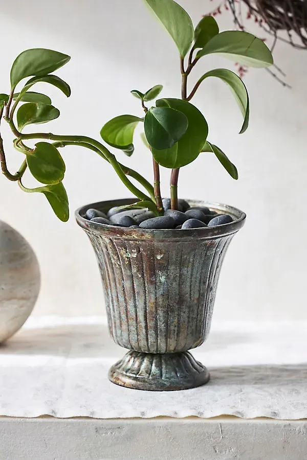 Flare Urn Planter - Blue by Anthropologie