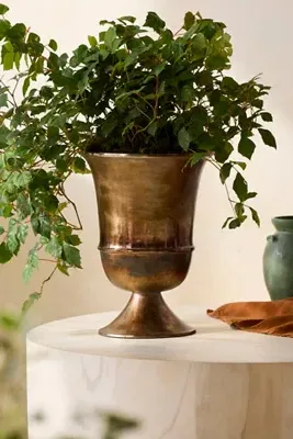 Flared Urn Planter - Bronze, Burnished Finish by Anthropologie, image 2