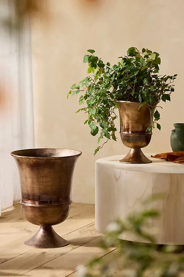 Flared Urn Planter - Bronze, Burnished Finish by Anthropologie