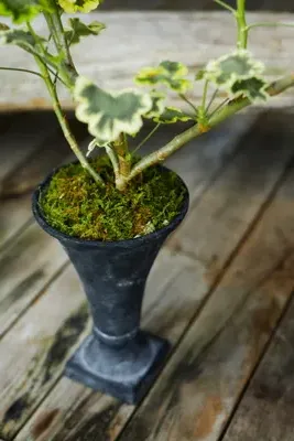 Flared Urn Planter - Cast Iron product