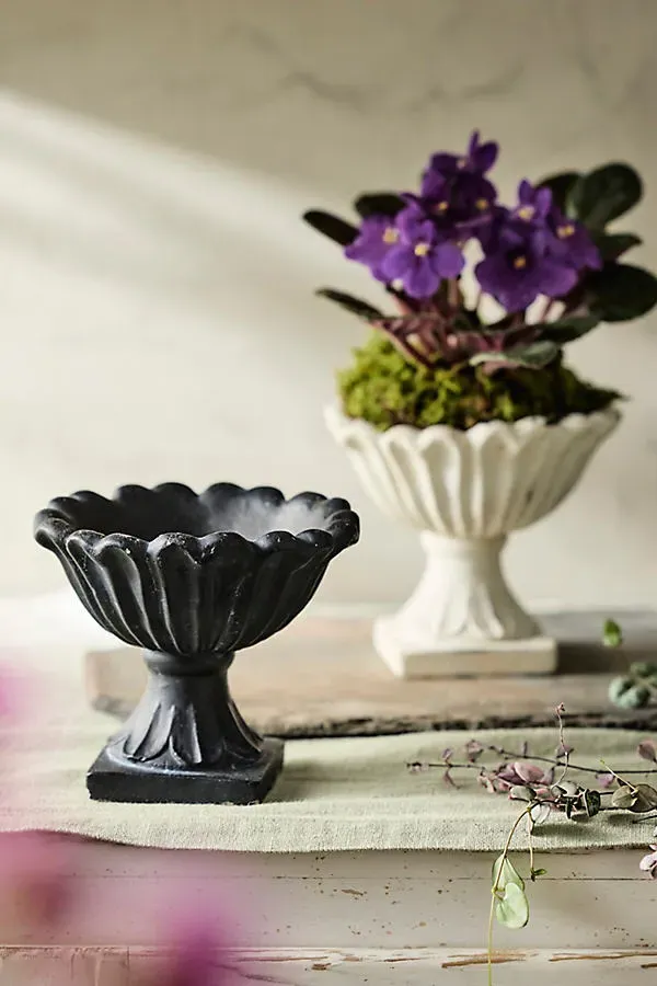 Flora Urn Planter - Black, Cement by Anthropologie, image 2