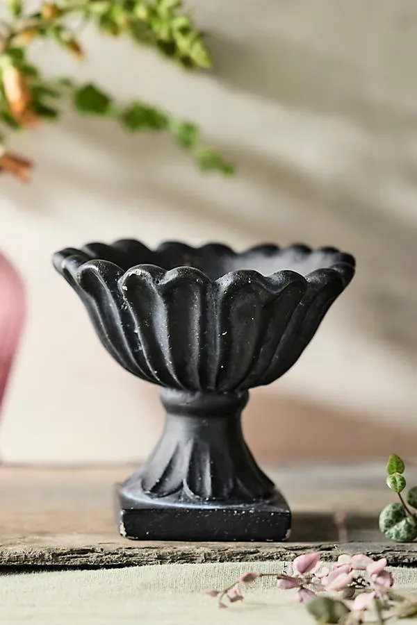 Flora Urn Planter - Black, Cement by Anthropologie