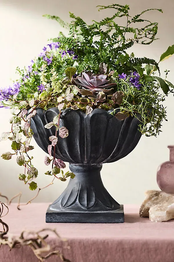 Flora Urn Planter - Black, Concrete by Anthropologie