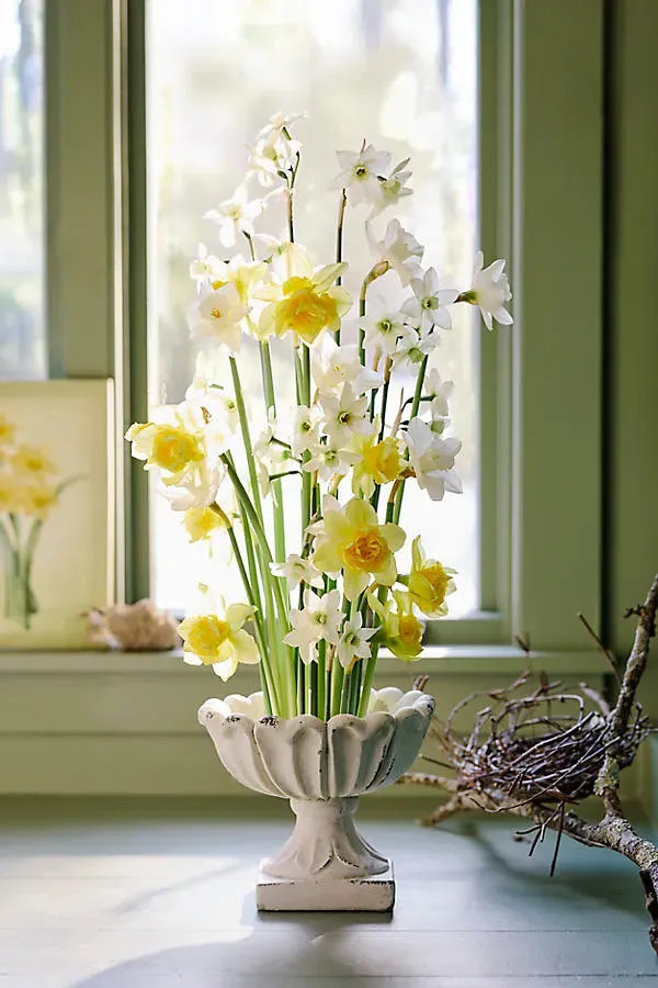 Flora Urn Planter - Ivory, Concrete by Anthropologie