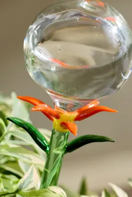 Floral Glass Watering Globe - Orange by Anthropologie, alternate view