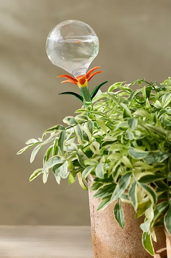 Floral Glass Watering Globe - Orange by Anthropologie