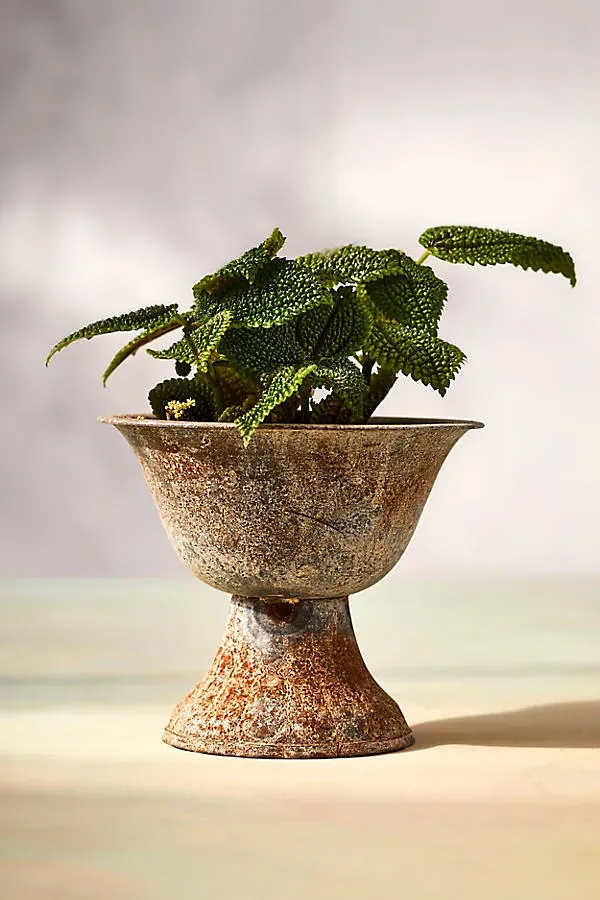 Fluted Urn Planter - Beige, Iron product