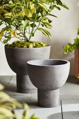 Footed Bowl Planter - Concrete product