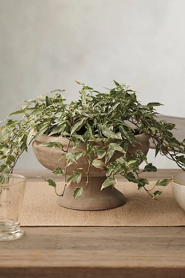 Footed Wide Ceramic Urn - Brown by Anthropologie