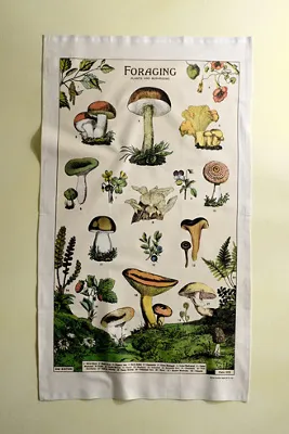 Foraging Cotton Dish Towel with Hanging Loop by Anthropologie, alternate view