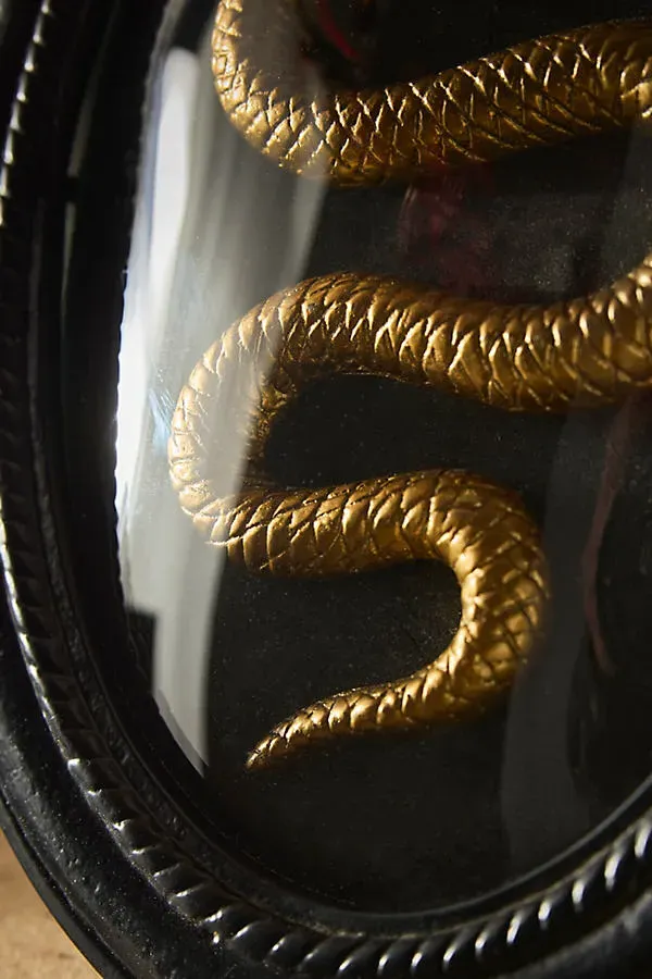 Framed Serpent Oval Shadow Box - Black by Anthropologie, alternate view