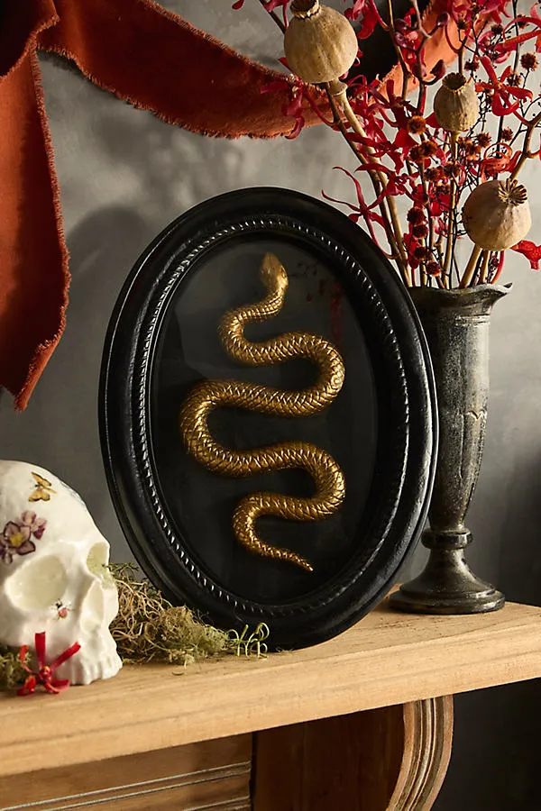 Framed Serpent Oval Shadow Box - Black by Anthropologie