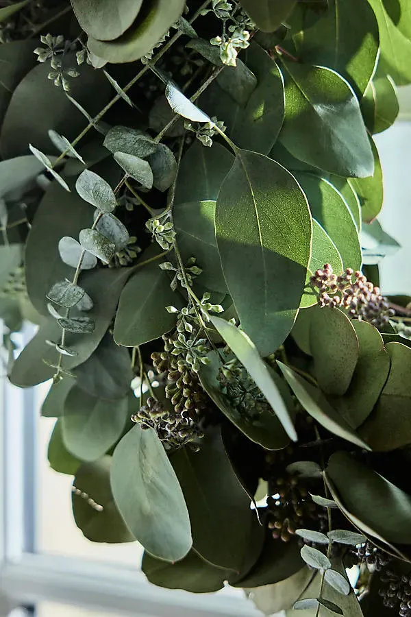 Fresh Eucalyptus Mix Wreath - Green by Anthropologie, alternate view