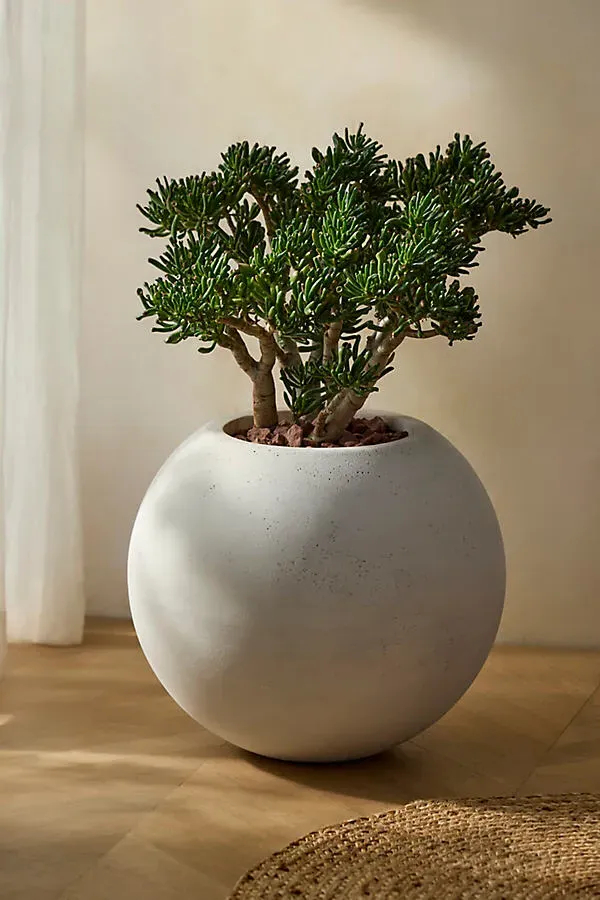Full Moon Sphere Planter - Ivory, Fiber Composite by Anthropologie