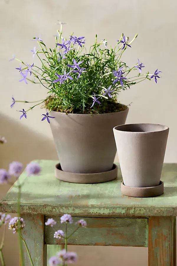 Galestro Pot and Saucer Set - Grey, Terracotta by Anthropologie