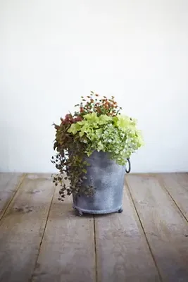 Galvanized Ring Handle Planter - Grey, Metal product
