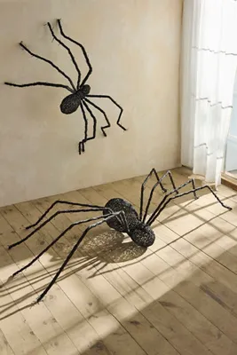Giant Rattan Vine Spider - XL by Anthropologie, image 2
