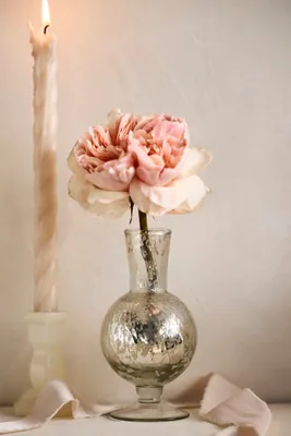 Glass Bud Vases Set of 5 - Silver by Anthropologie, alternate view